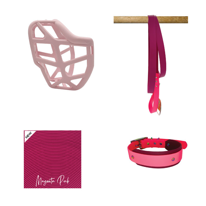 Mitzy* Muzzle Collar and Lead set