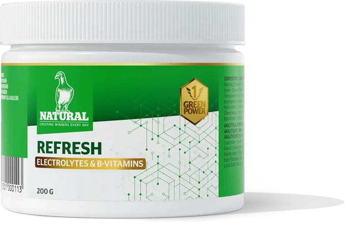 Natural Green Power Refresh 200 Gram