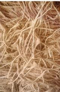Bird Nesting Material Close Up