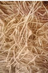 Bird Nesting Material Close Up