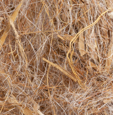 Fibrous Bird Nest Material