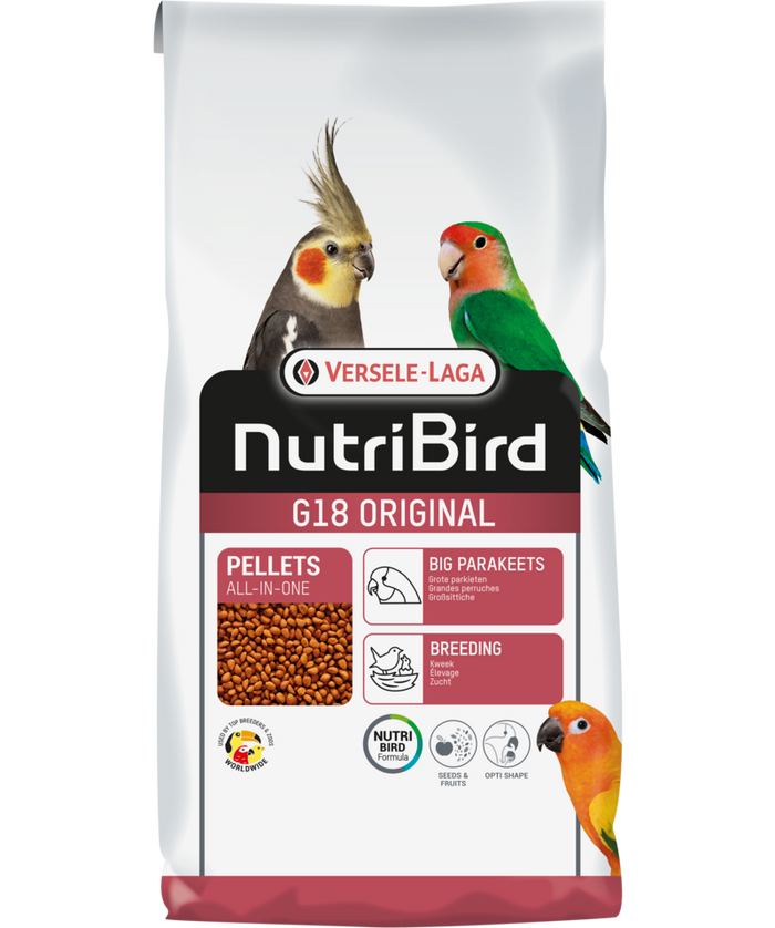 Big Parakeet Breeding Food