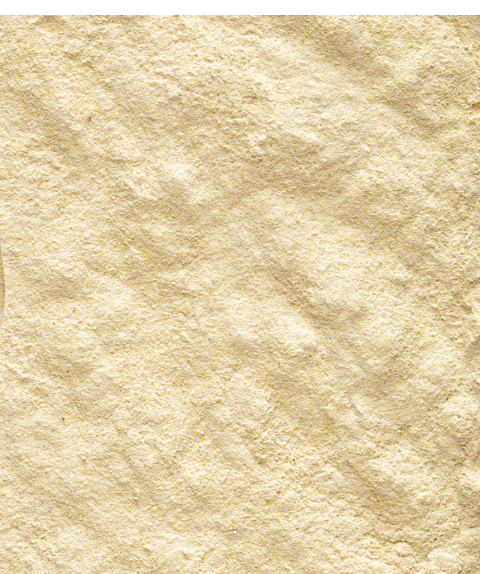 Hand Feed Bird Formula