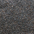 Nyger Seed