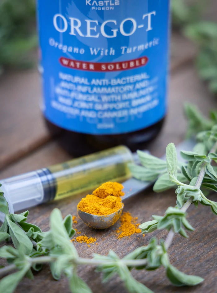Orego-T 10% Oregano with Turmeric for Pigeons | Natural Gut Health & Immune Support in Water
