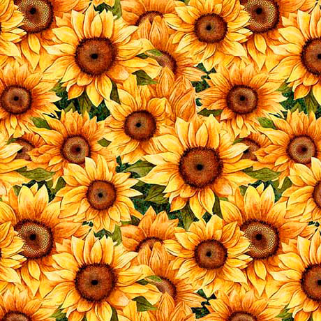 Packed Sunflowers Green- Sunflower Serenade