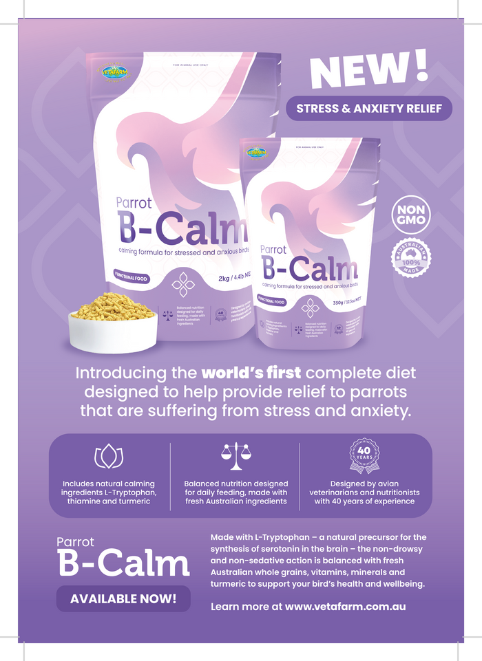 Parrot B-Calm Flyer