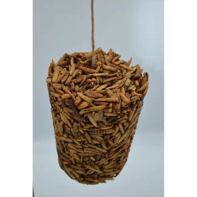 PECK AWAY GRUB ON A STRING 9.8oz