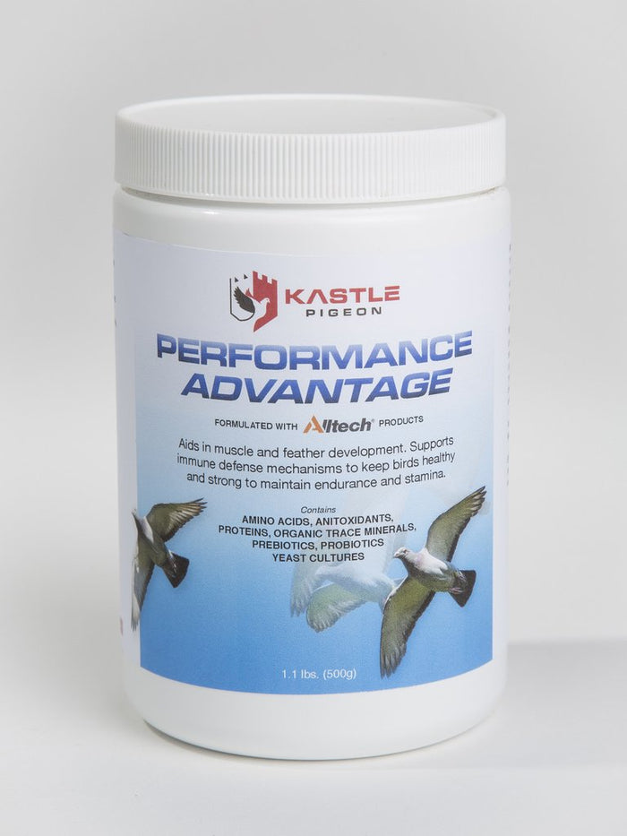 Performance Advantage (Kastle)