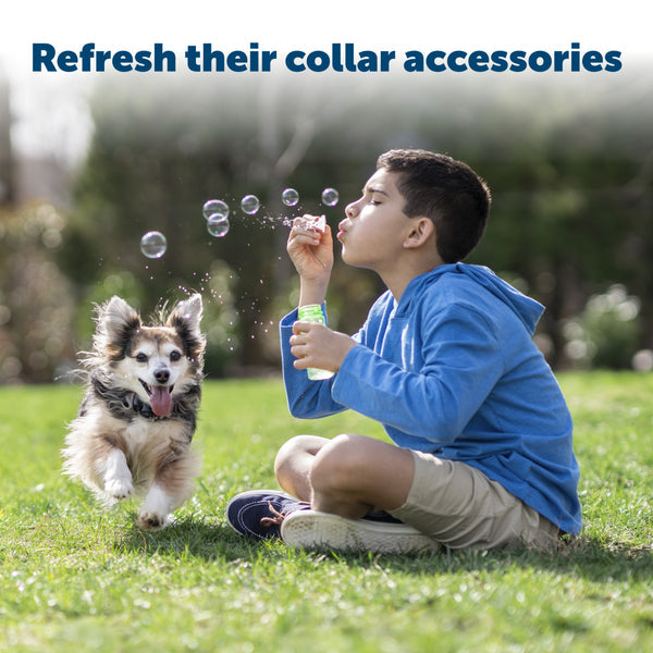 PetSafe Accessory Kit for Fencing Receiver Collars