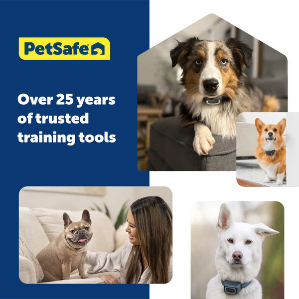 PetSafe Citronella Spray Can Refill