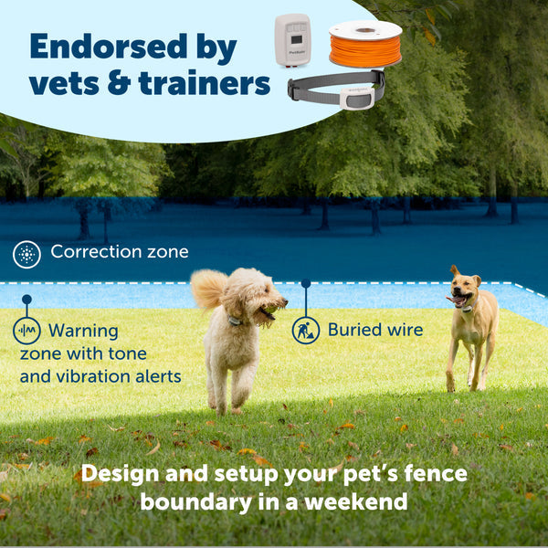 PetSafe Classic In-Ground Fence™ Rechargeable Receiver