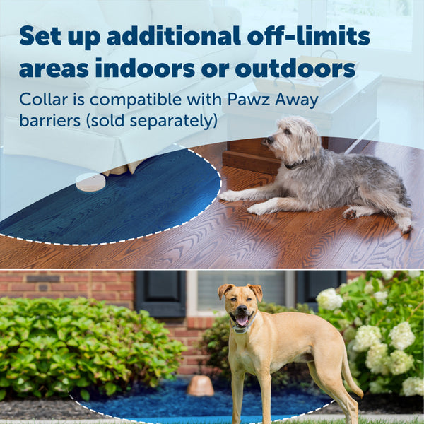 PetSafe Classic In-Ground Fence™ Rechargeable Receiver