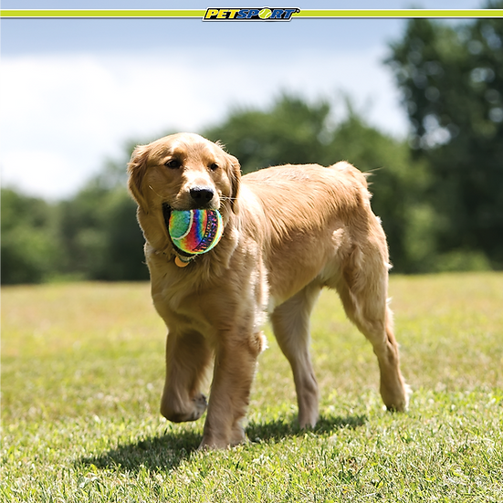 Petsport 70355 Tie Dye Squeak Ball 4" 1-Pack Dog Toys