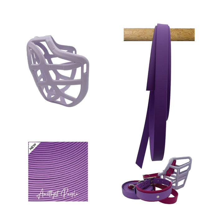 Pippa Muzzle Collar and Lead set