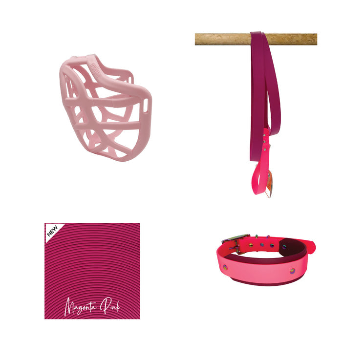 Pippa* Muzzle Collar and Lead set