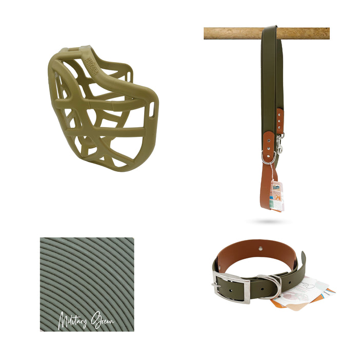 Pippa Muzzle Collar and Lead set