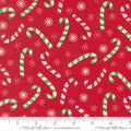 Poinsettia Red Candy Cane- Snow Time