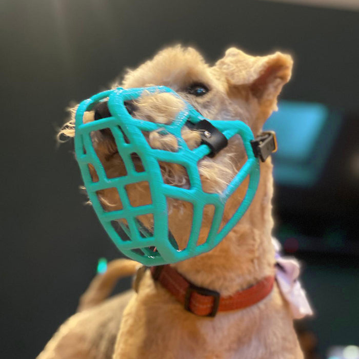PRE ORDER Grey Size Jimmy Dog Muzzle - Made to order muzzle with colour customisation (shipping March 2027)