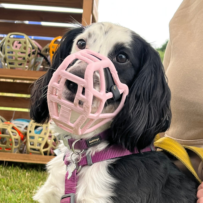 PRE ORDER Grey Size Jimmy Dog Muzzle - Made to order muzzle with colour customisation (shipping March 2027)