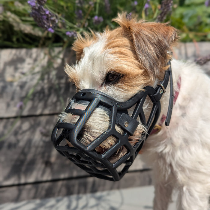 PRE ORDER Grey Size Jimmy Dog Muzzle - Made to order muzzle with colour customisation (shipping March 2027)