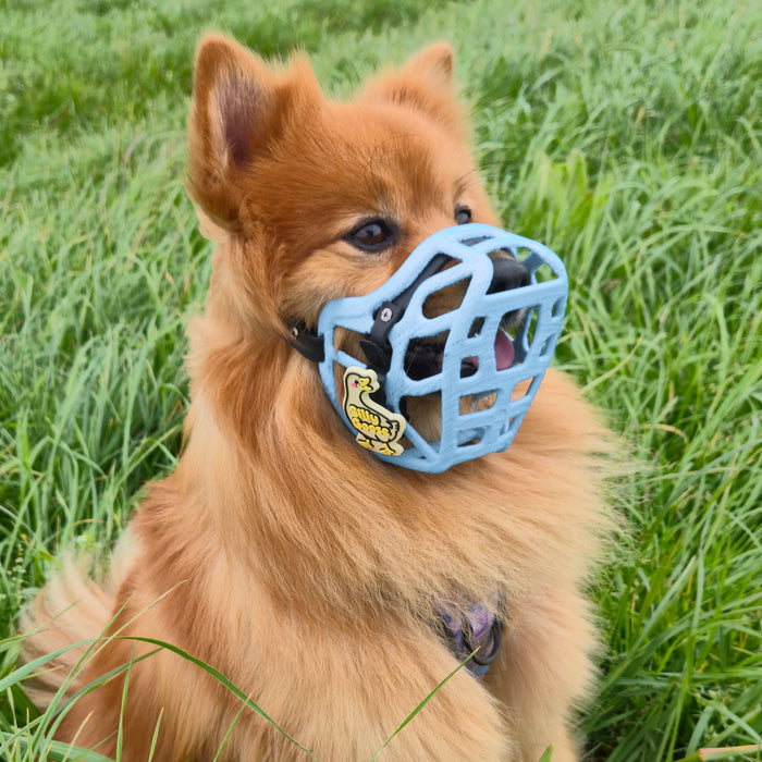 PRE ORDER Size Mia Dog Muzzle - Made to order muzzle with colour customisation (shipping September 2026)