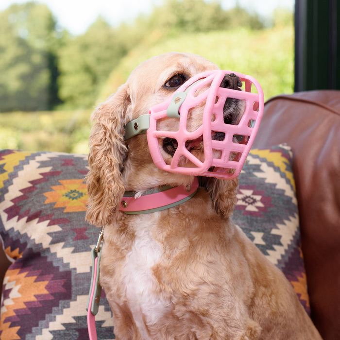 PRE ORDER Size Mia Dog Muzzle - Made to order muzzle with colour customisation (shipping September 2026)