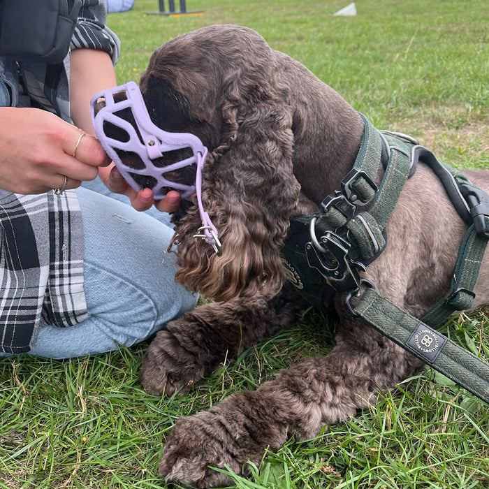 PRE ORDER Size Mia Dog Muzzle - Made to order muzzle with colour customisation (shipping September 2026)