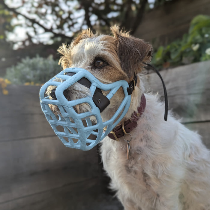 PRE ORDER Teal Size Jimmy Dog Muzzle - Made to order muzzle with colour customisation (shipping March 2027)
