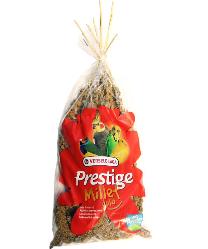 Premium Millet Seeds for Birds