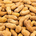 Raw Peanuts in shell