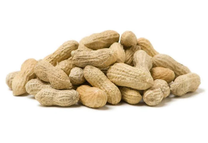 Raw Peanuts in shell