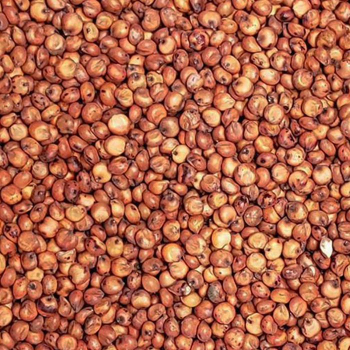 Recleaned Milo from Leach Grain & Milling