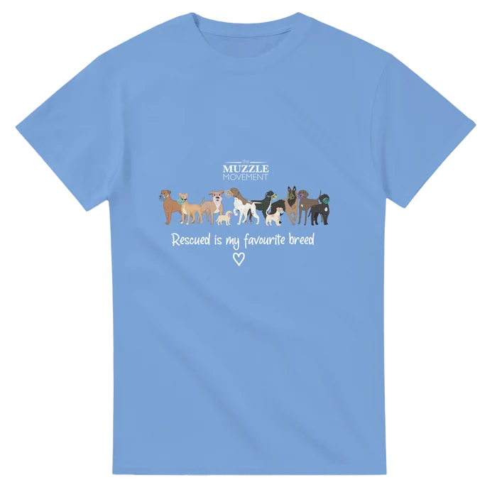 Carolina Blue / S