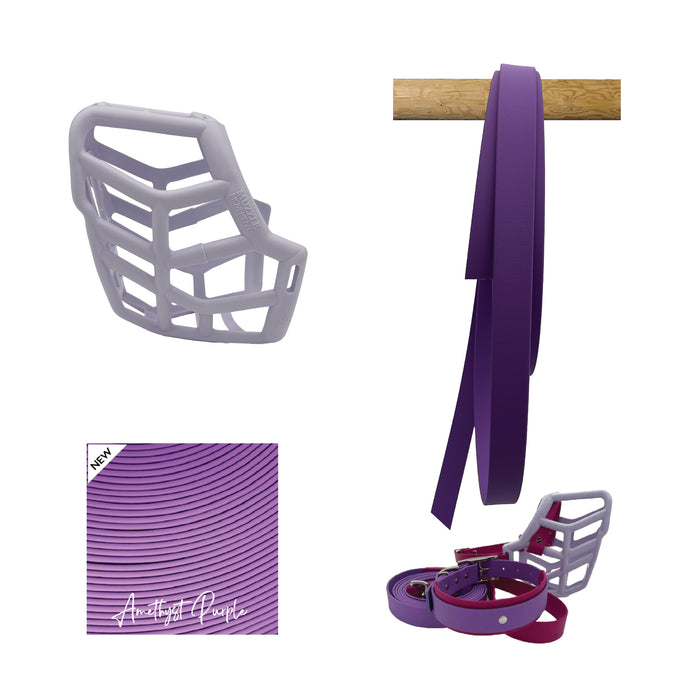 Rex* Muzzle Collar and Lead set