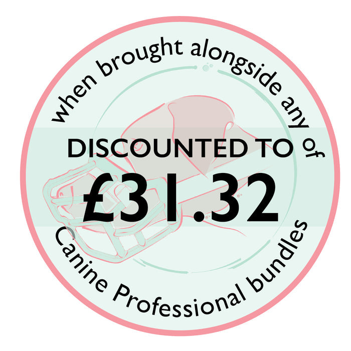 Safety accessories bundle for professionals