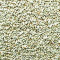 Premium Safflower Bird Seed