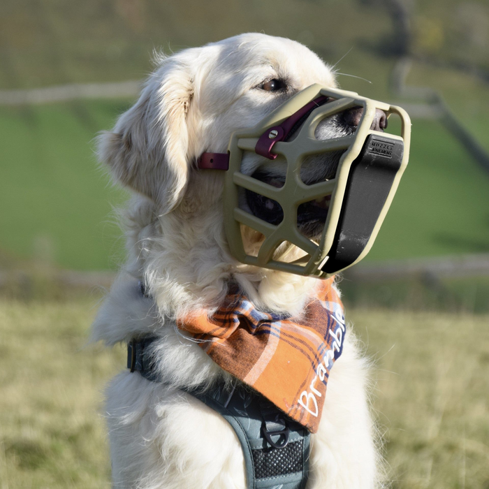 Scavenger guard bundle of 3 for Canine Professionals