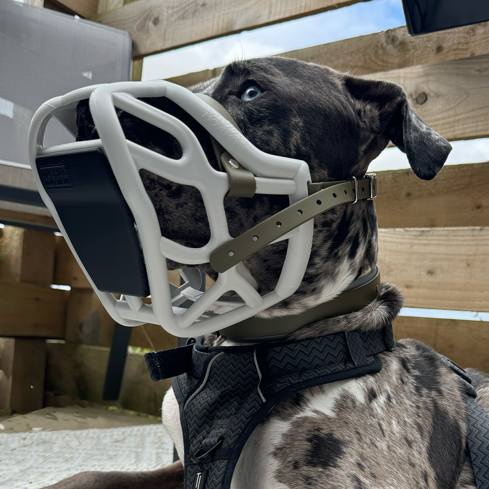 Scavenger guard bundle of 3 for Canine Professionals