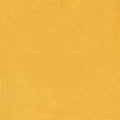Silky Minky 3MM 90" Gold