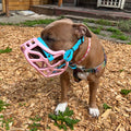 Size Harry 2.0 Dog Muzzle - Made to order muzzle with colour customisation