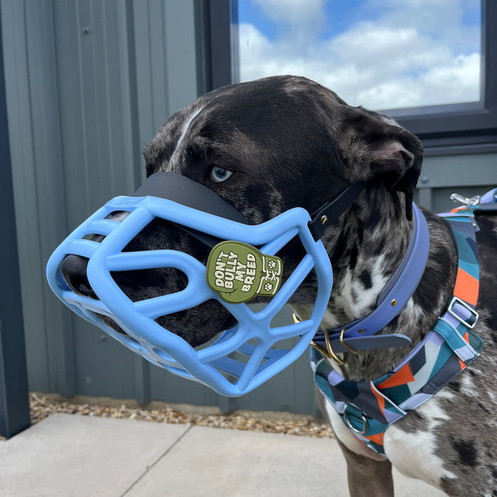 Size Harry 2.0 Dog Muzzle - Made to order muzzle with colour customisation