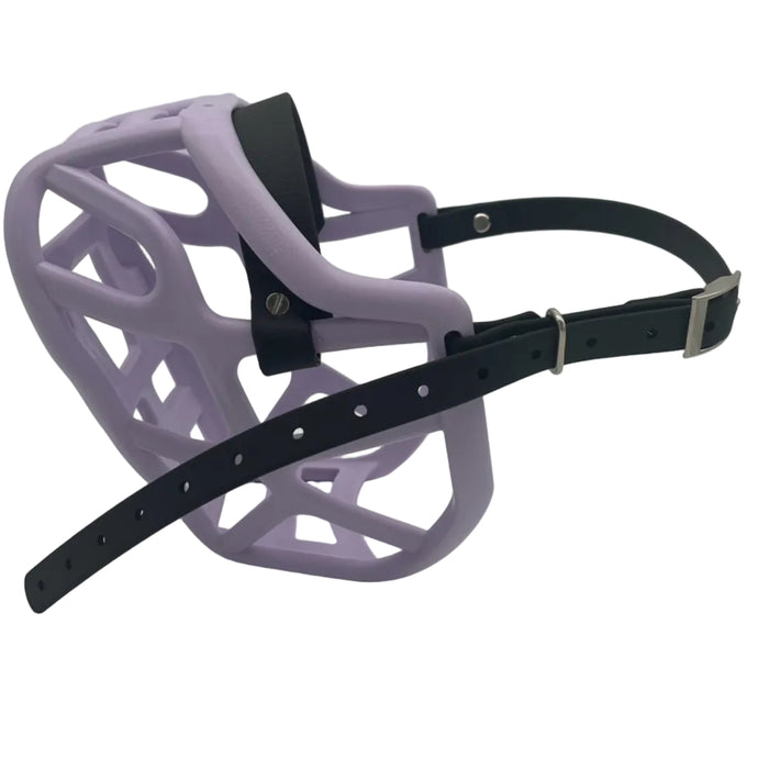The Muzzle Movement Lilac Harry 2.0 dog muzzle with black straps and nickle hardware with chicago screws on a white background