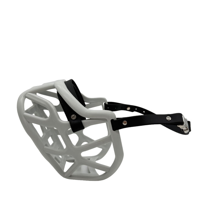 Harry 2.0 - Grey with Black biothane & foam noseband (Quick Release)