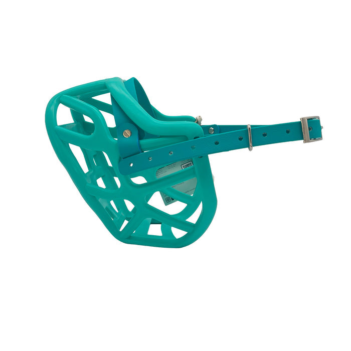 Harry 2.0 - Teal with Teal Biothane (Chicago Screws & Nickle)