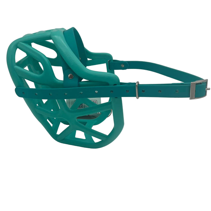 Harry 2.0 - Teal with Teal biothane (Nickle)
