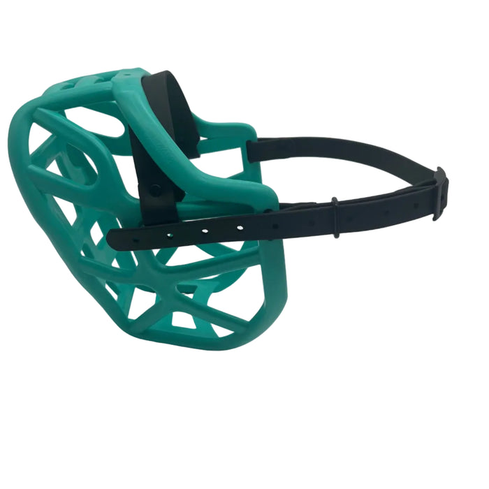Harry 2.0 - Teal with Black biothane (Black)