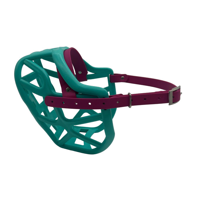 Harry 2.0 - Teal with Magenta Pink biothane (Nickle)