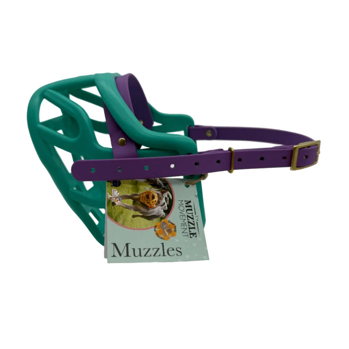 Harry 2.0 - Teal with Amethyst Purple biothane (Brass)