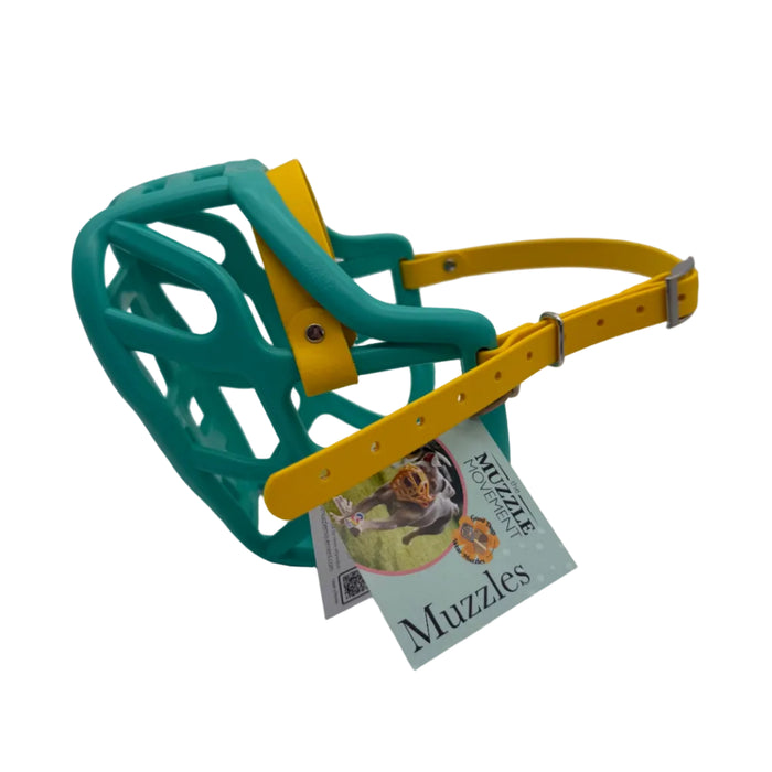 Harry 2.0 - Teal with Yellow biothane (Nickle)